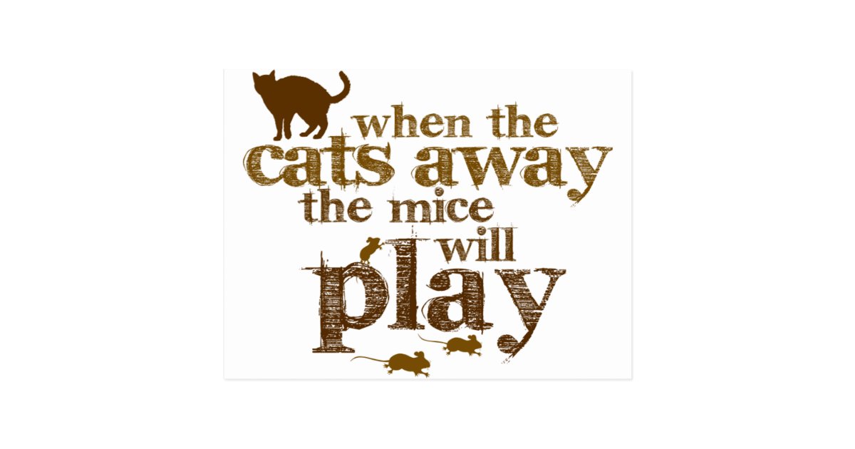 Motivation When The Cats Away The Mice Will Play Postcard Zazzle Com