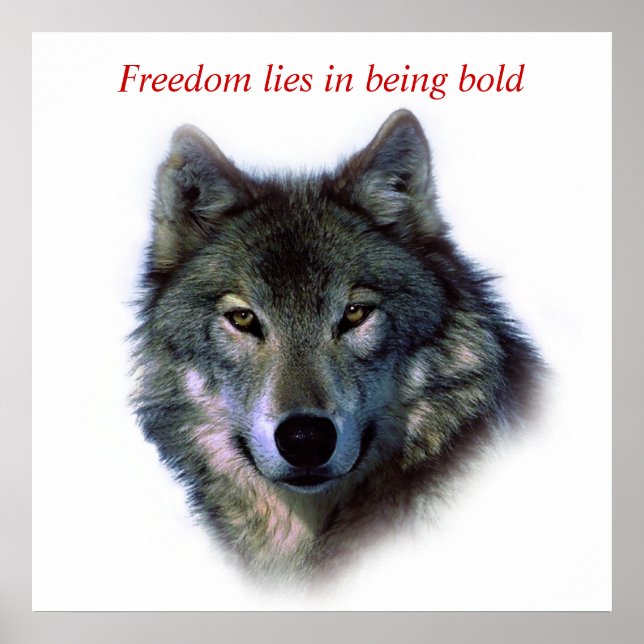 Motivational Courage Freedom Wolf Eyes Poster (Front)