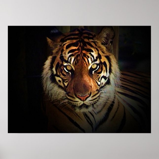 Motivational Eyes of Tiger in Shadow Poster Print (Front)