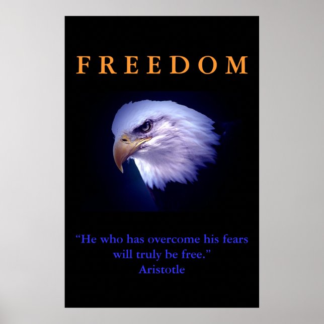 Motivational Freedom Courage Eagle Poster Print (Front)