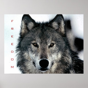 Motivational Freedom Courage Wolf Poster Print