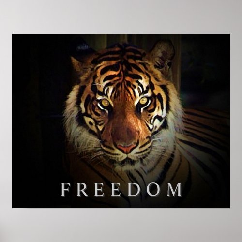 Motivational Freedom Eyes of Tiger Poster Print