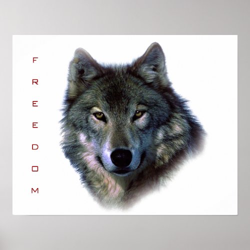 Motivational Freedom Gray Wolf Poster Print