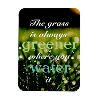 Motivational| Grass is greener where you water it Magnet