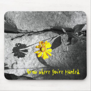 Motivational "Grow where you're planted"  Mousepad