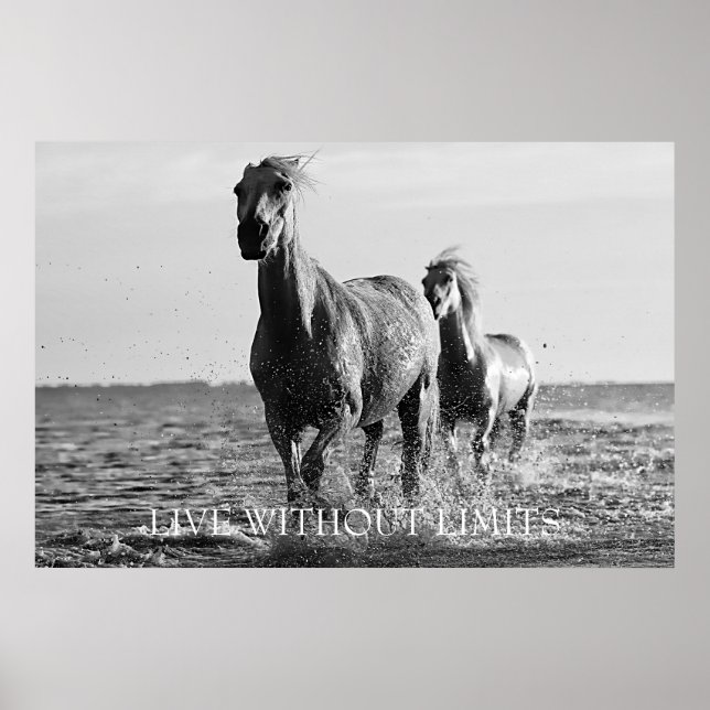 Motivational Horses Live Without Limits Poster (Front)