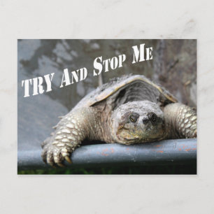 Motivational Inspirational Quote Turtle Picture Postcard
