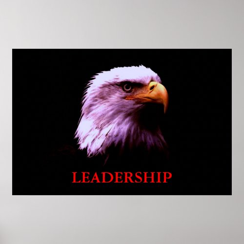 Motivational Leadership Eagle Eyes Poster