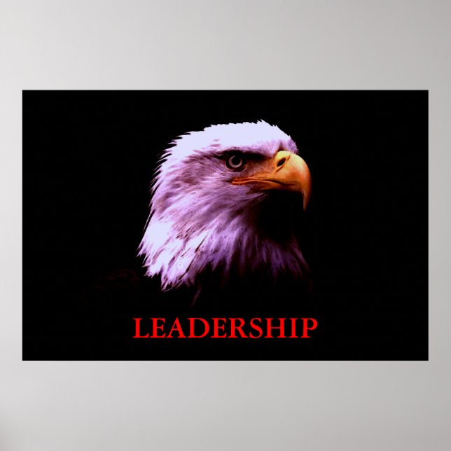 Motivational Leadership Eagle Eyes Poster (Front)