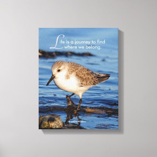 Motivational Life is a Journey Sanderling Canvas Print