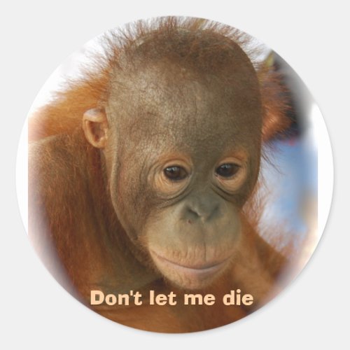 Motivational Love for All Animal Life Classic Round Sticker