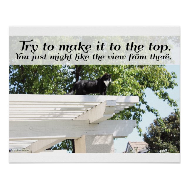 Motivational Make it to the Top Cat Saying Poster (Front)