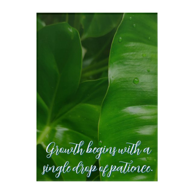 Motivational positive customizable acrylic print (Front)