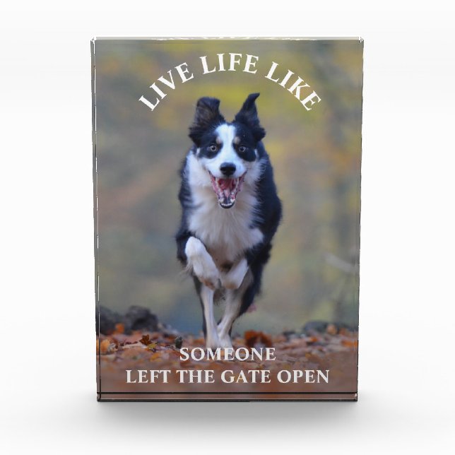 Motivational Positivity Life Quote with Dog Photo Block (Front)