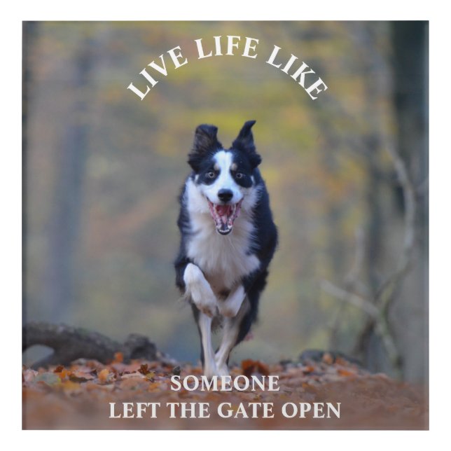 Motivational Quote about Posititvity Acrylic Print (Front)