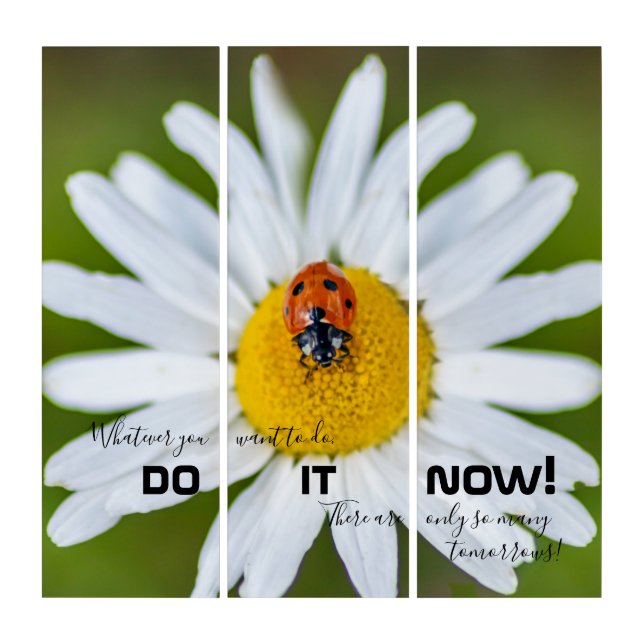 Motivational quote with good luck ladybug triptych (Front)