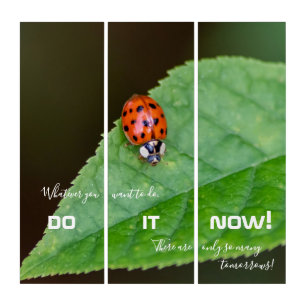 Motivational quote with good luck ladybug triptych