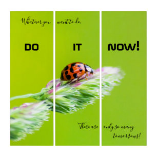 Motivational quote with good luck ladybug triptych