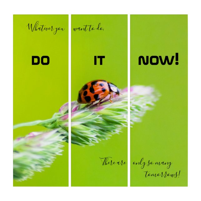 Motivational quote with good luck ladybug triptych (Front)