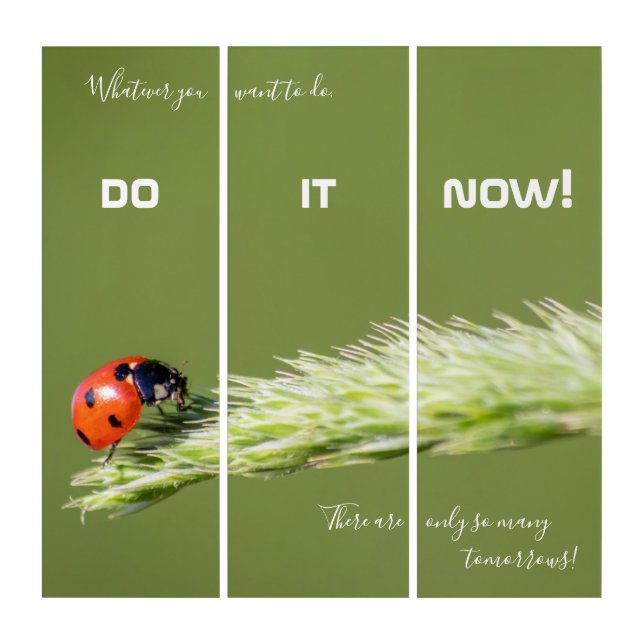 Motivational quote with good luck ladybug triptych (Front)
