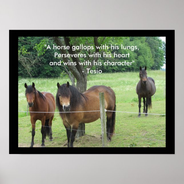 Motivational Quote with Horses Poster (Front)
