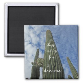 Motivational Reach for Dreams Cactus Southwest Magnet