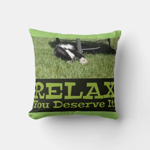 Motivational Relax Cat Epic Slogan Throw Pillow