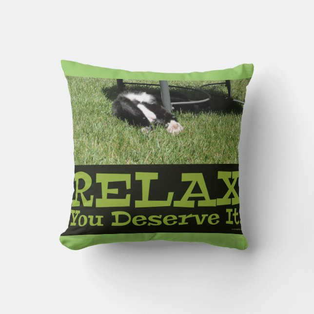 Motivational Relax Cat Epic Slogan Throw Pillow (Front)