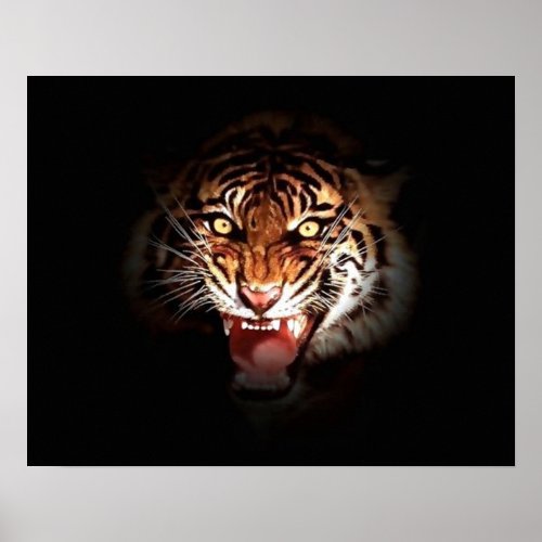 Motivational Roaring Tiger in Shadow Poster Print