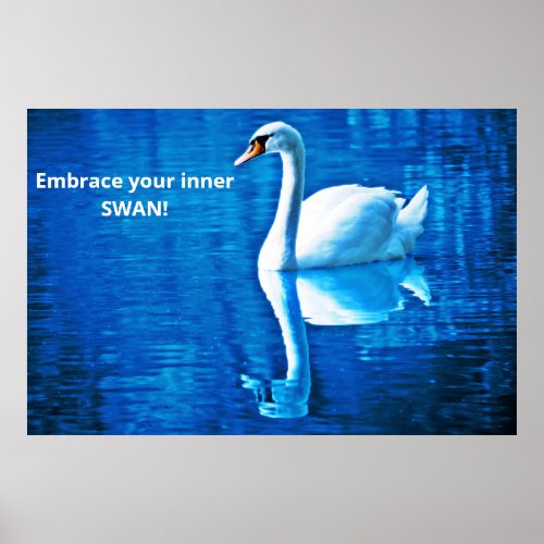 Motivational Thought Swan Reflection Blue  White Poster