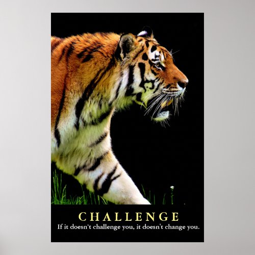 Motivational Tiger Challenge Quote Poster