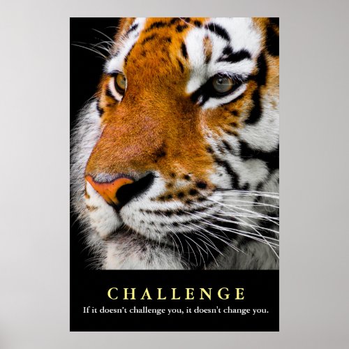 Motivational Tiger Face Challenge Quote Poster