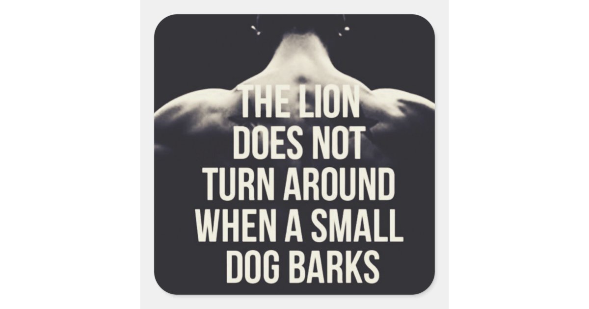 Why the Lion Does Not Turn Around: The Truth About Predator Focus