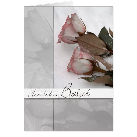 motive for mourning: roses in the snow cards (Front)