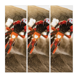 Motocross Rider Triptych