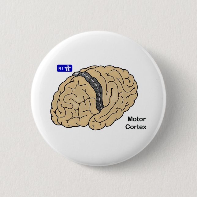 Motor Cortex Pinback Button (Front)