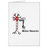 Motor Neuron (Front)