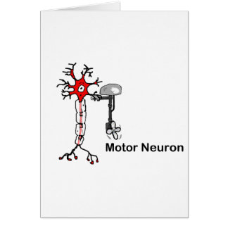 Motor Neuron Cards