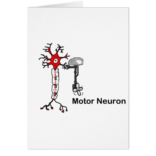 Motor Neuron Cards (Front)