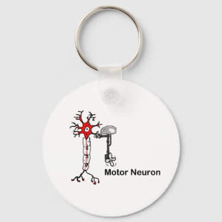 motor neuron keychain