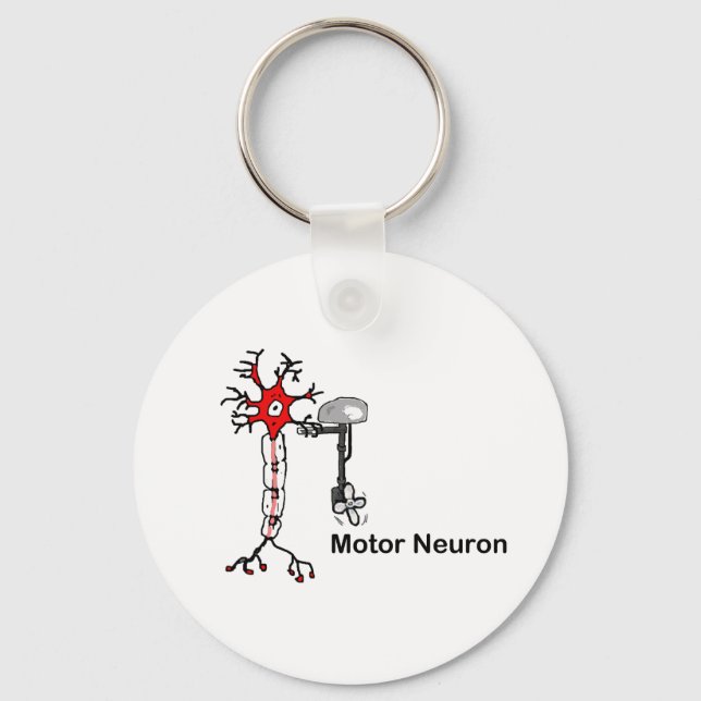 motor neuron keychain (Front)
