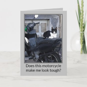 Motorcycle Cat /humor Note Card by whatawonderfulworld at Zazzle