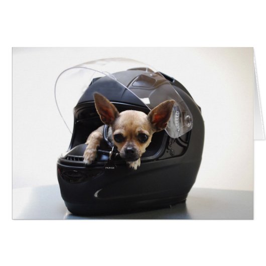 Motorcycle Chi (Front Horizontal)