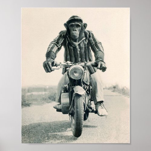 Motorcycle Monkey Ape on Motorcycle Vintage Poster