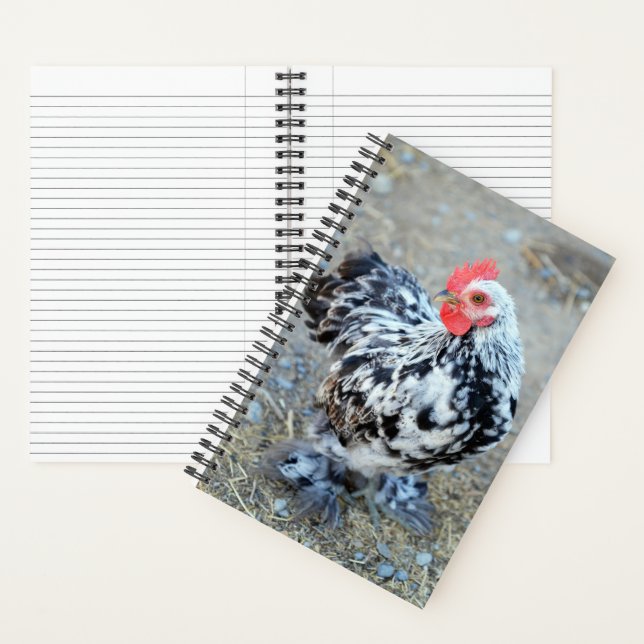 Mottled Bantam Cochin Chicken Journal Notebook (Inside)