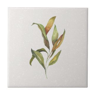 Mottled Cream Leaf Accent