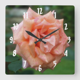 Mottled Peach Rose In Bloom Floral Square Wall Clock