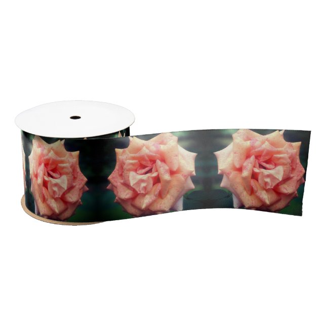 Mottled Peach Rose In Bloom Satin Ribbon (Spool)