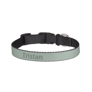 Mottled Sage Green with Name Pet Collar
