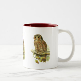 Mottled Wood Owl Two-Tone Coffee Mug